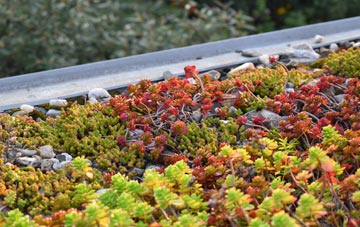 the cost of Groesffordd green roof installation