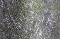 Groesffordd fibreglass roof work